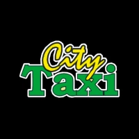 Taxi City Driver