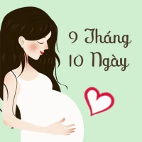 9 Tháng 10 Ngày - Thai Kỳ