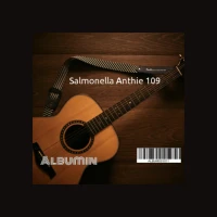 Trình tạo bìa album