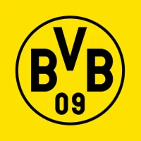 BVB eAcademy