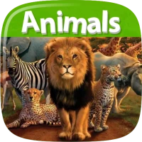 Animals Dictionary