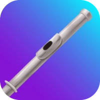 Flute Lessons - tonestro