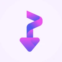 Any Video Downloader | SSSTIk