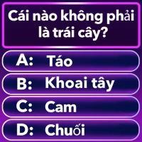 Word Trivia - trò chơi đố chữ