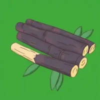 Sugarcane smart arithmetic