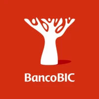 BIC Mobile