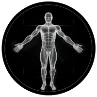 BodBot AI Personal Trainer