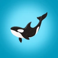 Seek-Bot : Veo AI