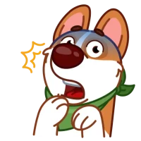 Animal Stickers and GIFs