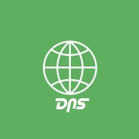 Custom DNS Changer IPV4 & IPV6