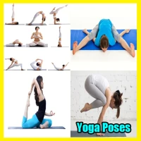 Yoga Poses
